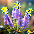 环尼宝贝故事会 - 鲁冰花