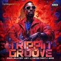 Trippin' Groove (Explicit)