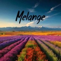 Melange - First Love Reunion