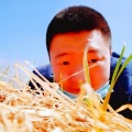 DJ宇轩 - 小阿枫-移情别恋 (DJ宇轩2020REMIX蓝调版)(改编版原唱: 郭峰)