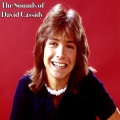 David Cassidy - I Lost My Chance