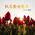 赵洋 - 红尘路相思苦
