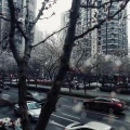花语卿 - If You (花雨卿 remix)