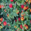 Giuseppe Luca Rossitto - Miele