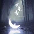 聒噪的王海颖 - 夜来香