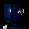 徐剑秋 - 戒爱