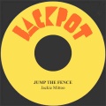 jackie mittoo、Donat Roy Mittoo - Jump the Fence