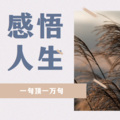 王子国学堂 - 情绪