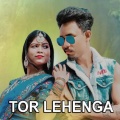 Tor Lehenga