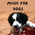 Relaxing Puppy Music、Calm Pets Music Academy、Music For Dogs、Music For Dogs Peace - Healing Melodies