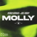 MOLLY (Extended Mix|Explicit)