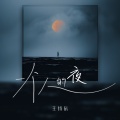 王忻辰 - 一个人的夜