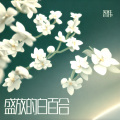 智伟 - 盛放的白百合