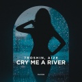 Troshin、Aize - Cry Me a River
