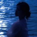 EXE ROHIT - Dandelions -