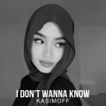 KASIMOFF、DieeZ、Zerrid - I Don't Wanna Know