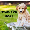 Relaxing Puppy Music、Calm Pets Music Academy、Music For Dogs、Music For Dogs Peace - Sleeping Next to Your Feet