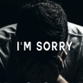 Veysigz - I'm Sorry