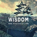 Veysigz - Wisdom