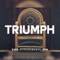 Veysigz - Triumph