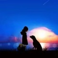林火火 - 倩女幽魂 古琴