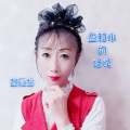 赵育梅 - 鱼和水的记忆