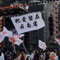 南诏 - 马缨花