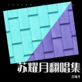 豆极bobo - 等你的回答