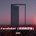 Forelsket (初恋的欢愉)