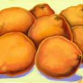 Timida