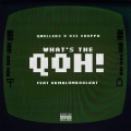 What's The Qoh! (feat. Okmalumkoolkat)(Explicit)