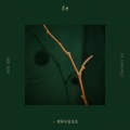 裘德 - 薛定谔果