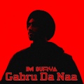 Im Surya - Gabru Da Naa (Explicit)