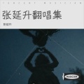 张延升 - 你究竟有没有爱过我