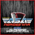 ASA NORDESTINA - Leilão