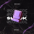 Shook (feat. Yung Addy)(Explicit)