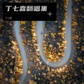 丁七喜 - 雾里 (Live)