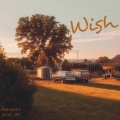 Wish (feat. dkj)(Explicit)