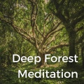 Drifting Streams、Recording Nature、Healing Sounds for Deep Sleep and Relaxation、Nature Expedition、Nature Sound Collection、Relaxing Music Sleeper、Nature Is Calling、Sleep, Study, Focus - Humid Trail