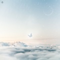 Nayf Tam、Thy - 星舞