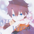 【FGO原创曲】Fate Witness