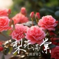 图百里 - 梨花满棠