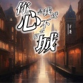 你的心是我进不去的城