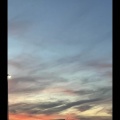 Evening Skies