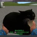 MAXWELL the 3d spining Cat THEME