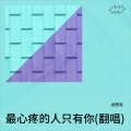 武思尧 - 最心疼的人只有你