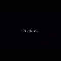 b.n.a. (Explicit)
