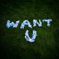 Rents Due、My Friend Connor、Amaris、Dez Niboh - Want U