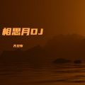 齐旦布 - 相思月DJ