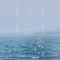 Oli - 候鸟的短歌 A Song of Migrants